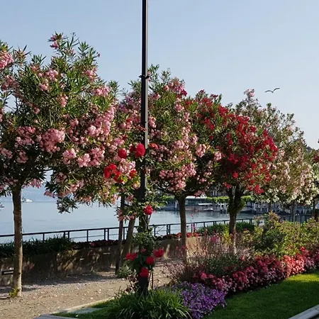 Casa Katty Zweizimmerwohnung Mit Balkon Mit Seeblick Apartment Bellagio